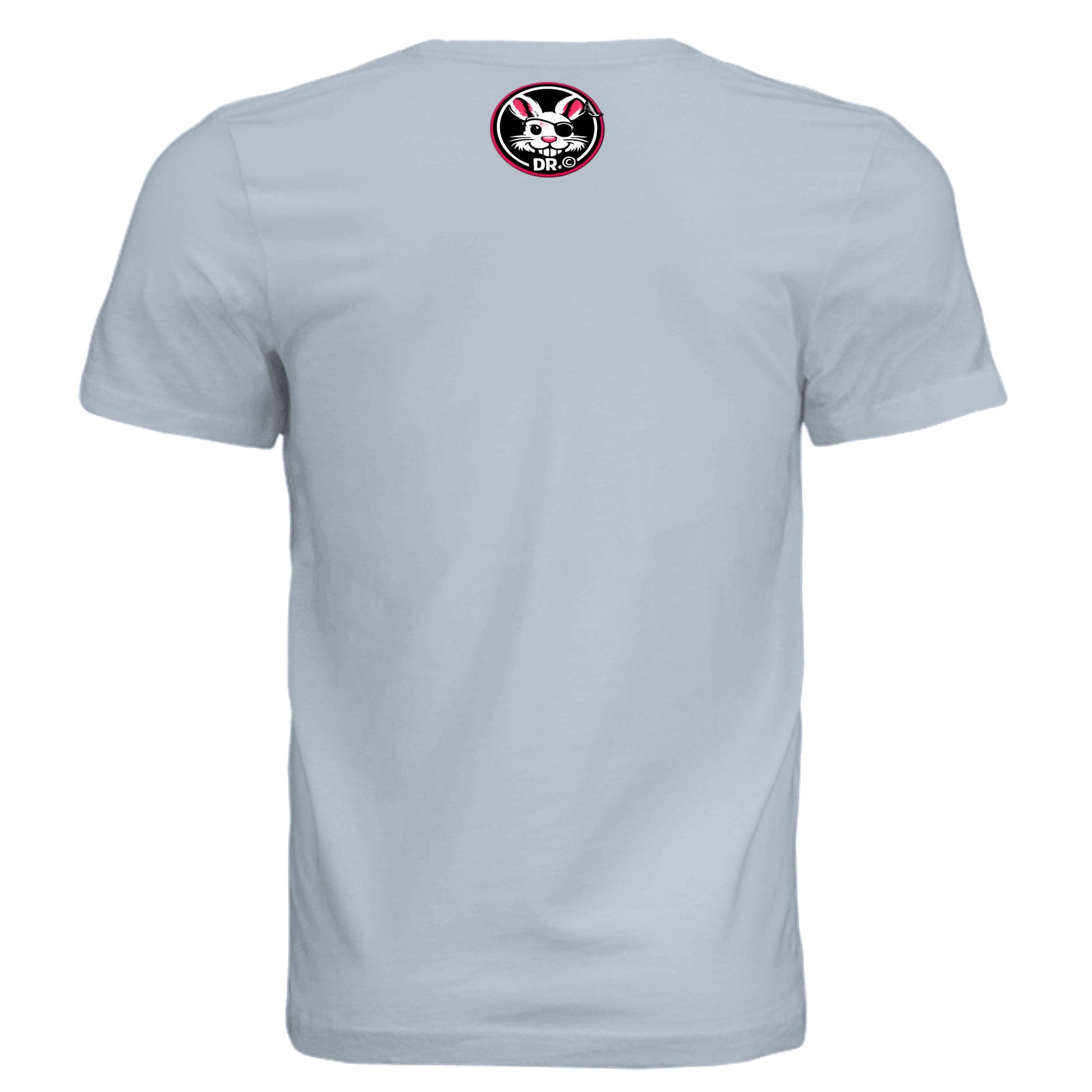 Solid Carolina Blue Triblend - 3413C - BACK